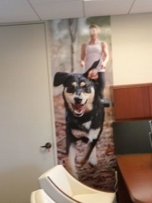 Wall Murals & Graphics